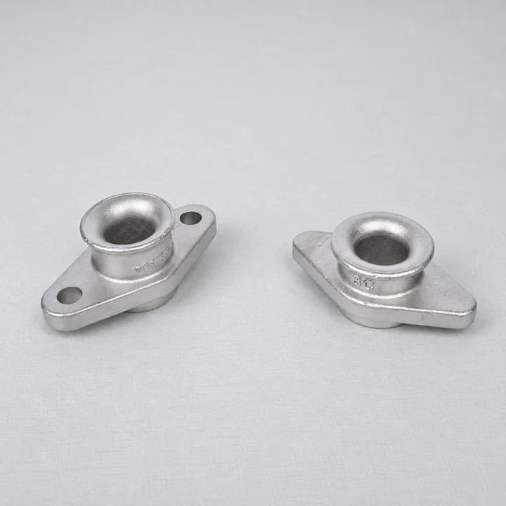 Two-Bolt Flange Bodies shown in the supplied casting product photograph